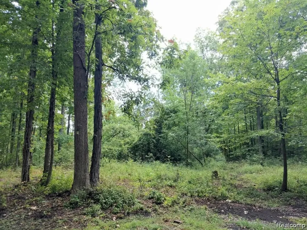 03 Joann Drive Berlin Charter Township MI 48166