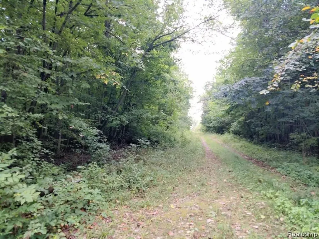 03 Joann Drive Berlin Charter Township MI 48166