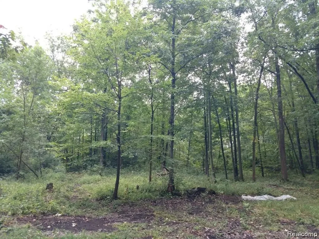 03 Joann Drive Berlin Charter Township MI 48166