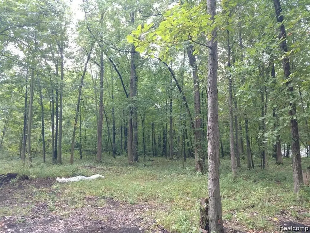 03 Joann Drive Berlin Charter Township MI 48166