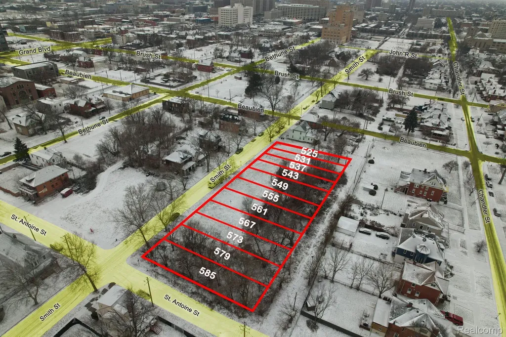 537 Smith Street Detroit City MI 48202