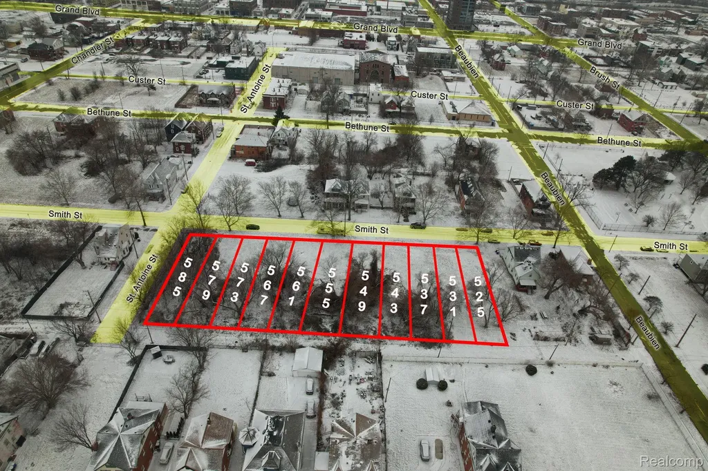 525 Smith Street Detroit City MI 48202