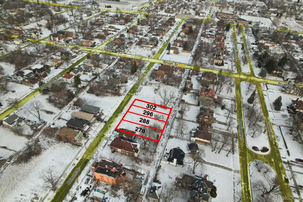 296 Belmont Street Detroit City MI 48202