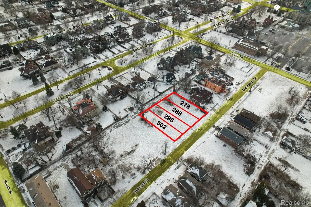 296 Belmont Street Detroit City MI 48202