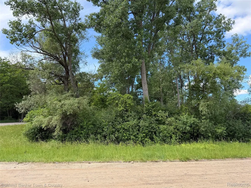 0 Ben Hur Drive Brighton City MI 48114