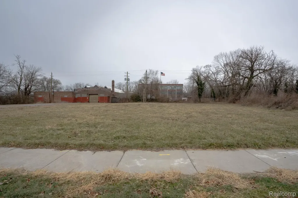 1185 Concord Street Detroit City MI 48207