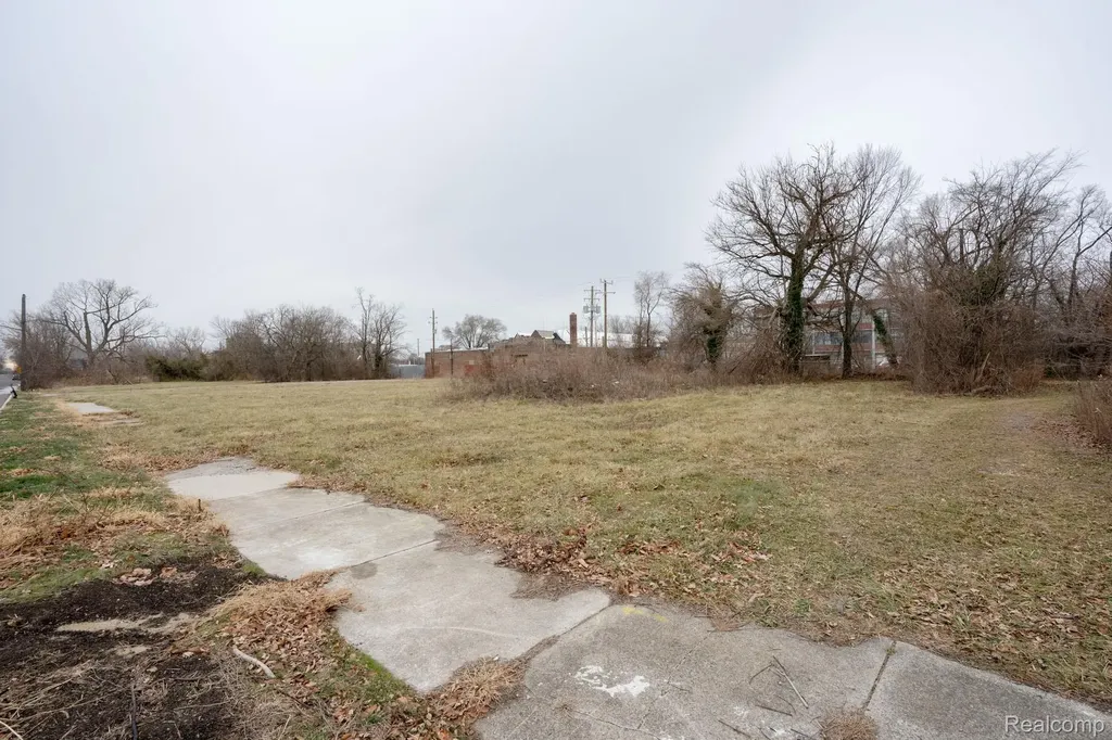1185 Concord Street Detroit City MI 48207