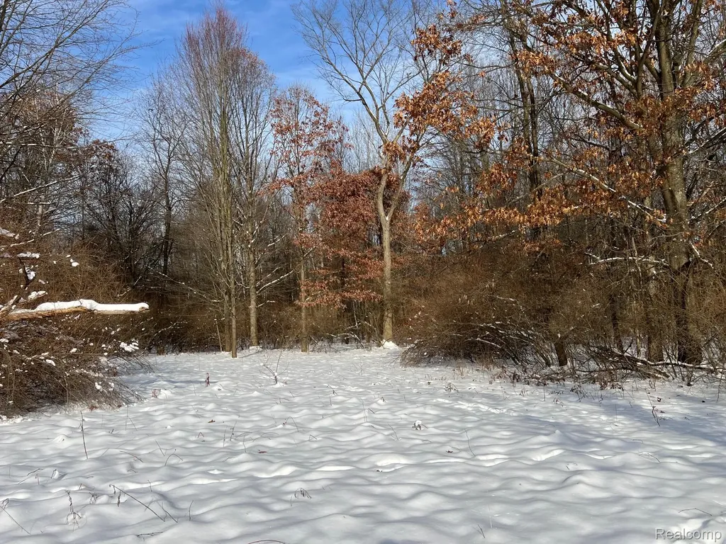 10.10 Acres Laur Deerfield Township MI 48461