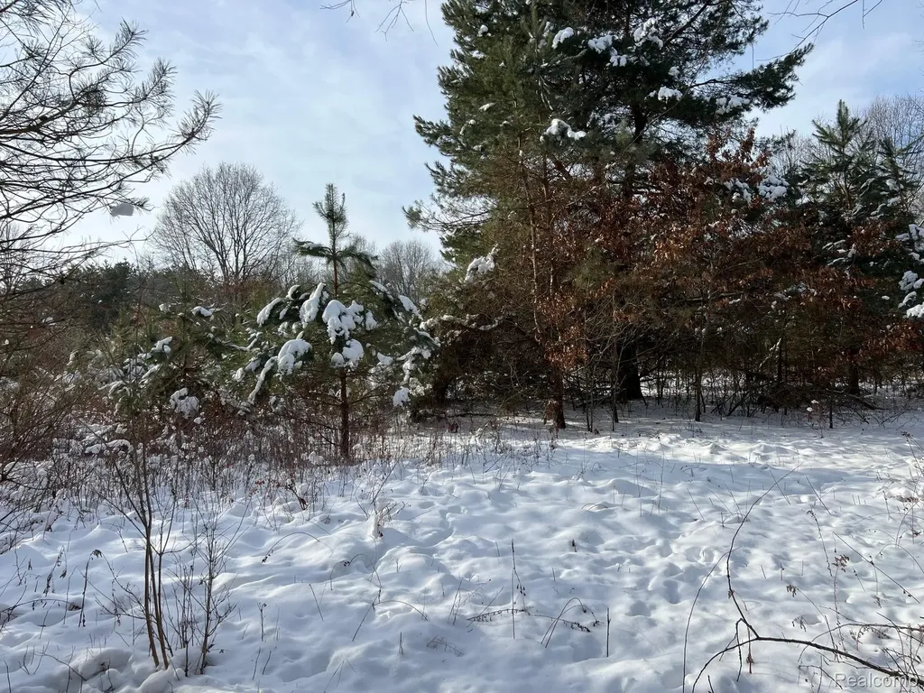 10.10 Acres Laur Deerfield Township MI 48461