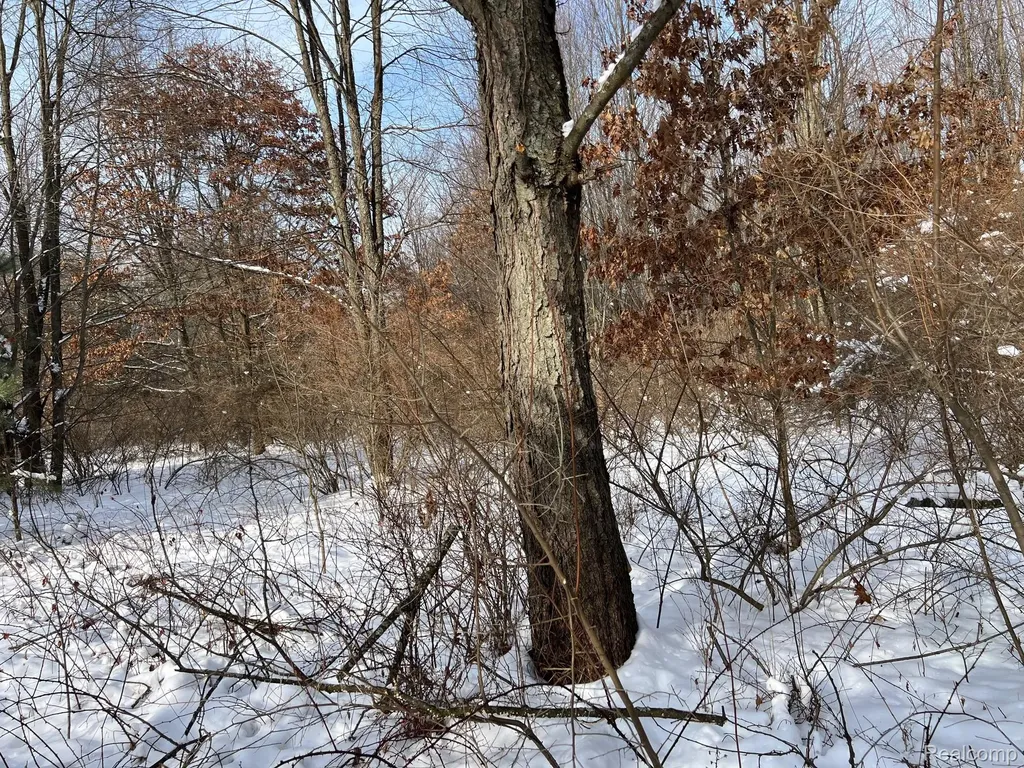 10.10 Acres Laur Deerfield Township MI 48461