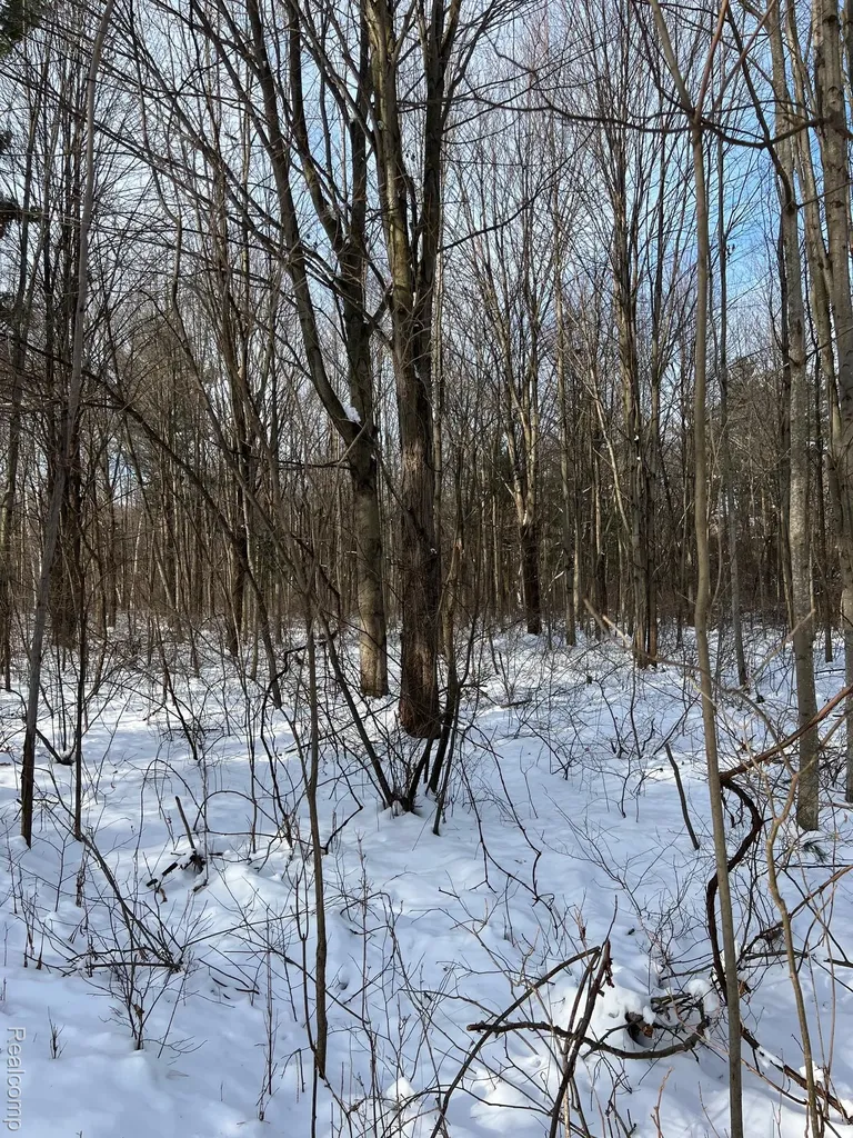 10.10 Acres Laur Deerfield Township MI 48461