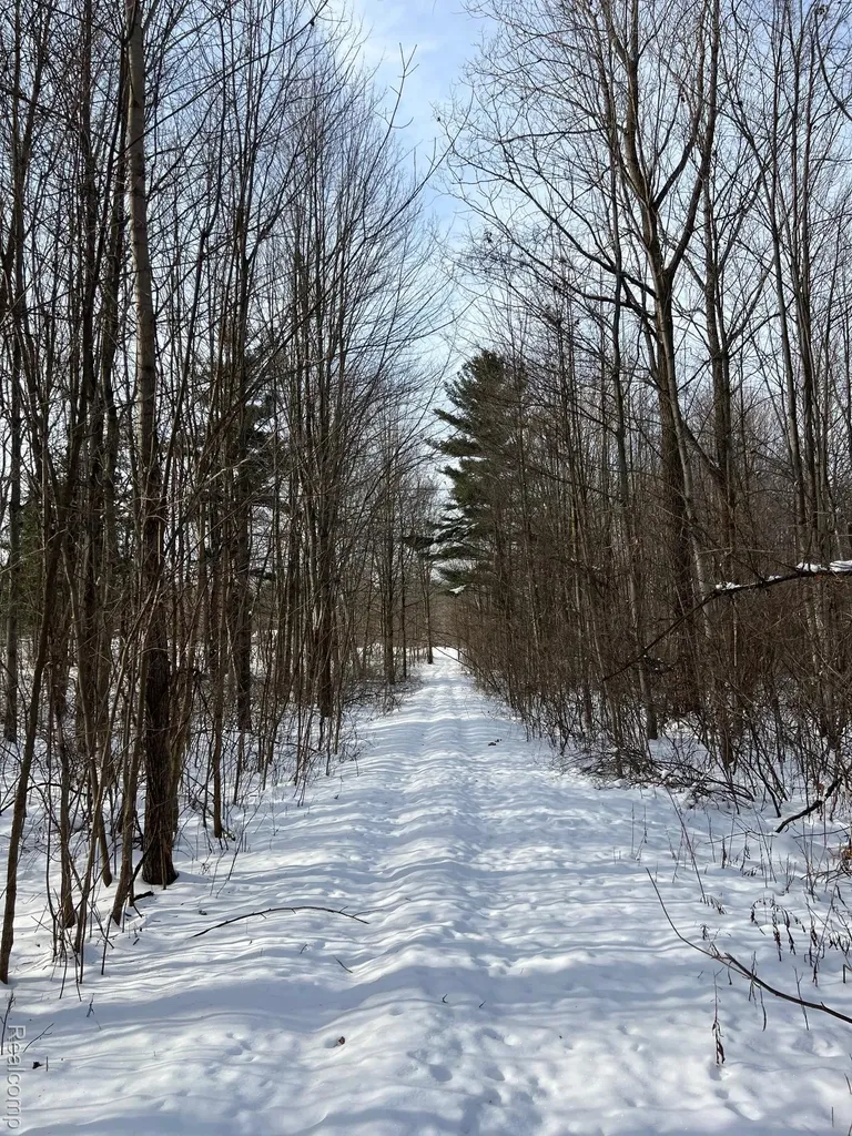 10.10 Acres Laur Deerfield Township MI 48461