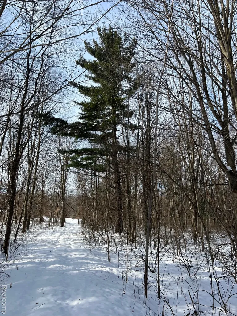 10.10 Acres Laur Deerfield Township MI 48461