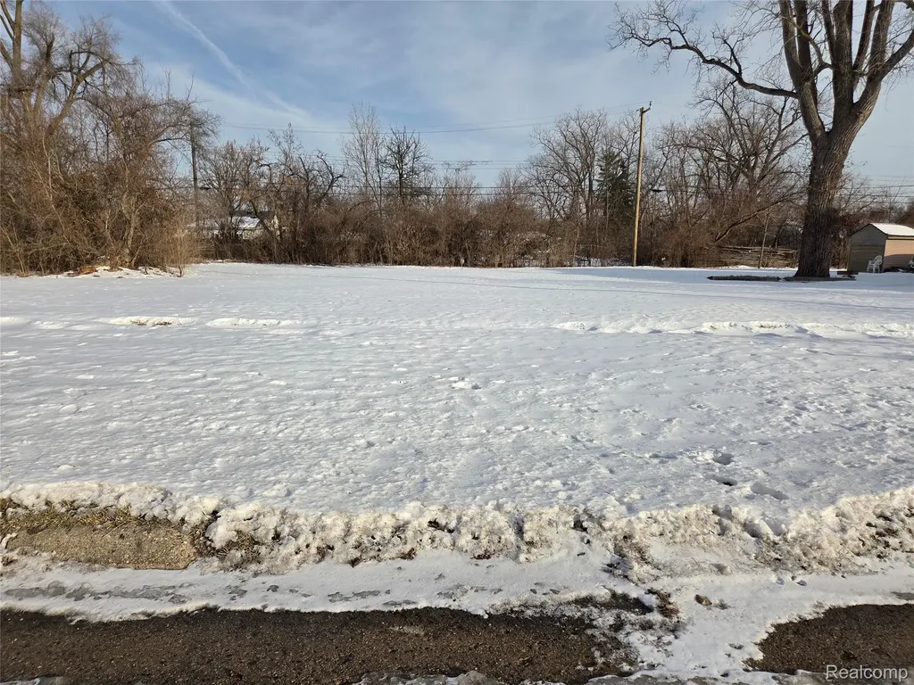 3607 Harrison Street Inkster City MI 48141