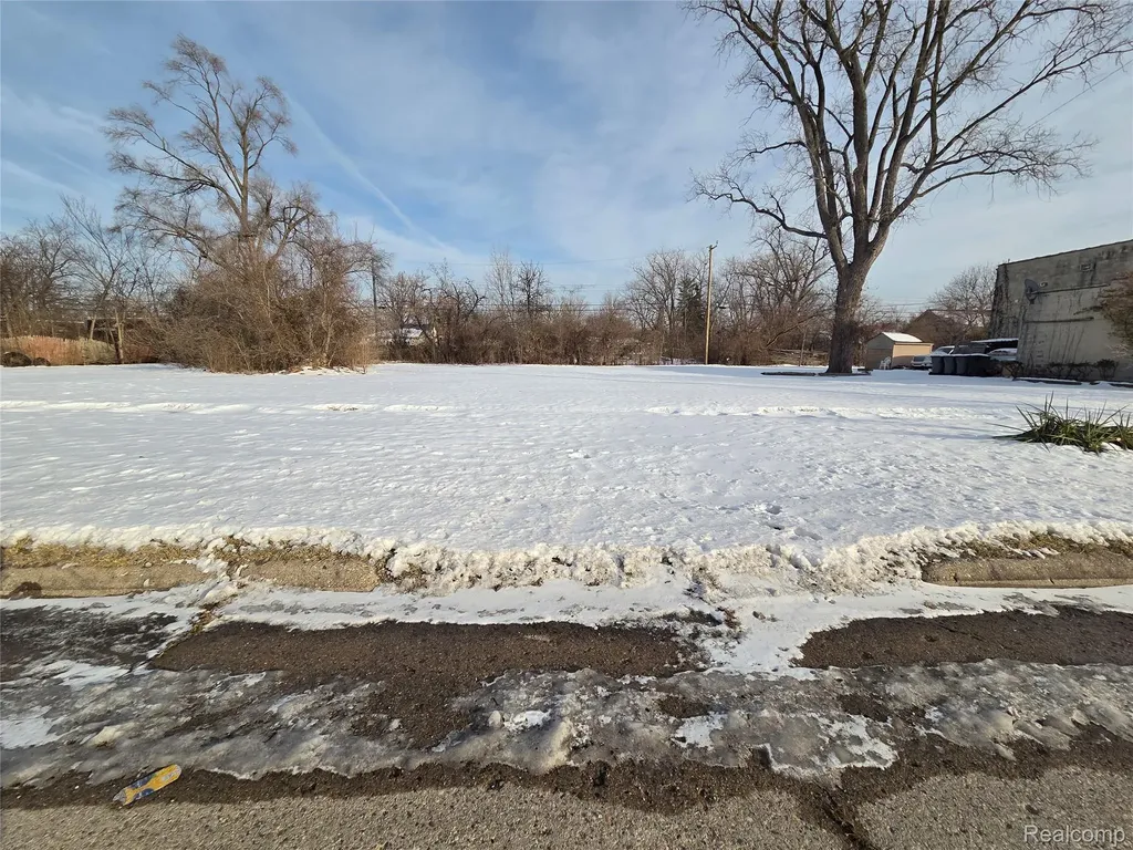 3607 Harrison Street Inkster City MI 48141