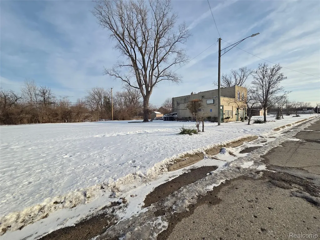3607 Harrison Street Inkster City MI 48141