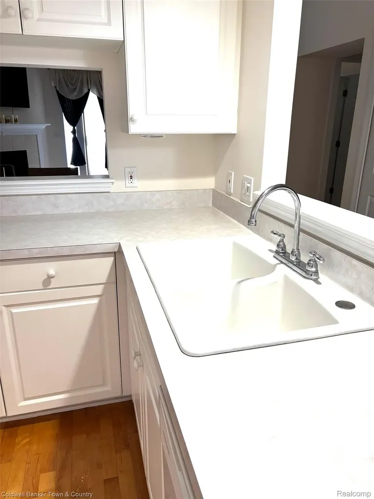 6320 Squire Lake Drive Mt. Morris Township MI 48433