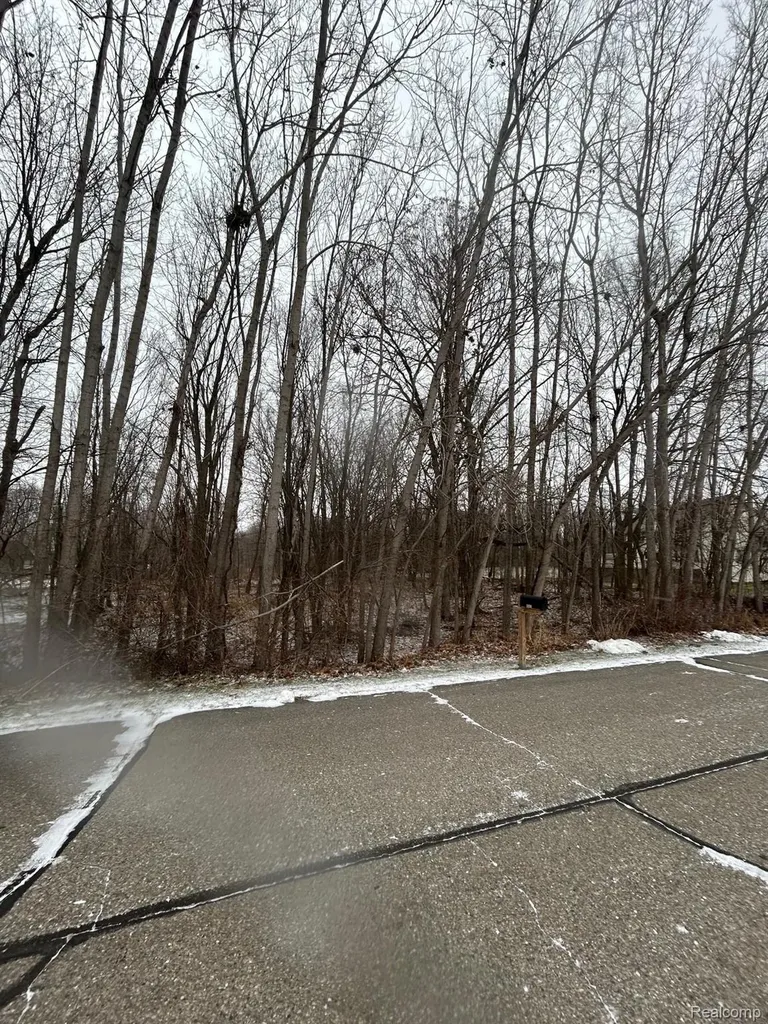 00 Fountain Lane Handy Township MI 48836