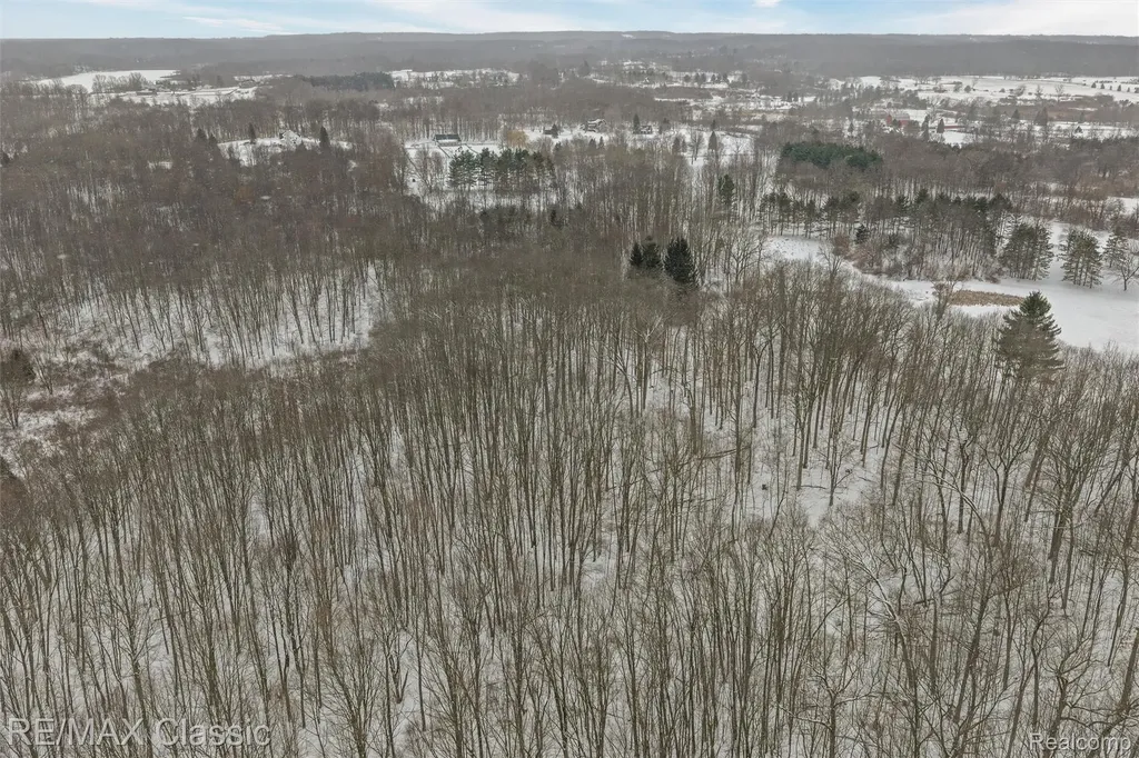 3737 Rock Valley Dryden Township MI 48455