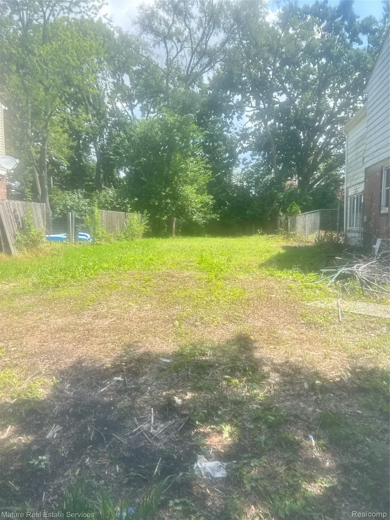 16172 Cruse Street Detroit City MI 48235