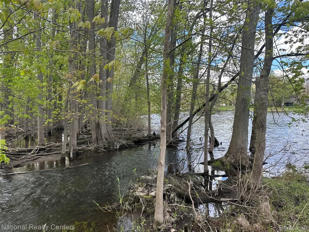 12063 Kirby Lane Green Oak Township MI 48178