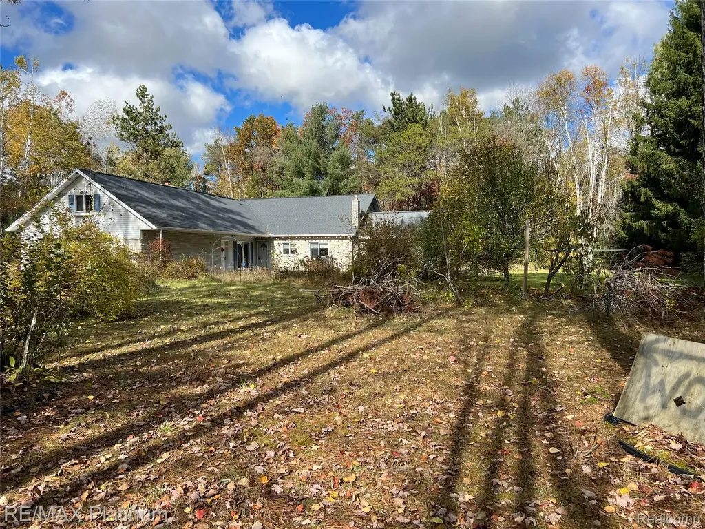 5318 Gemini Lane Wilson Township MI 49707