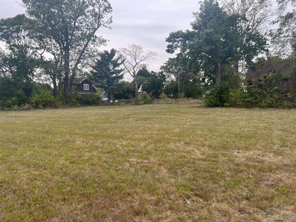 10372 W Chicago Detroit City MI 48204