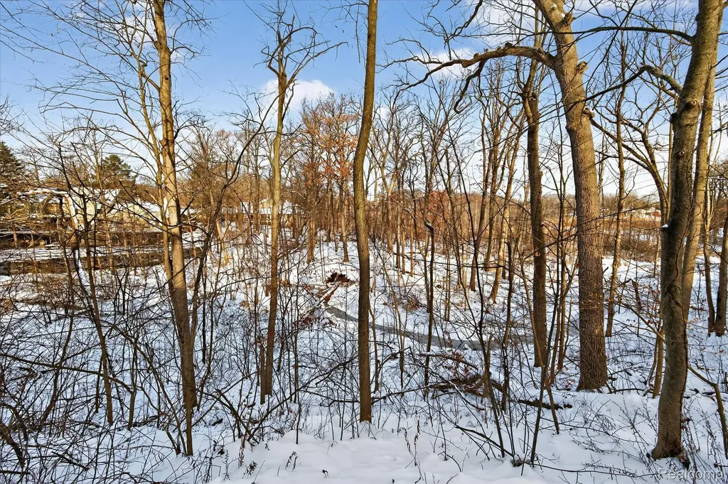 1193 Timberview Trail Bloomfield Hills City MI 48304