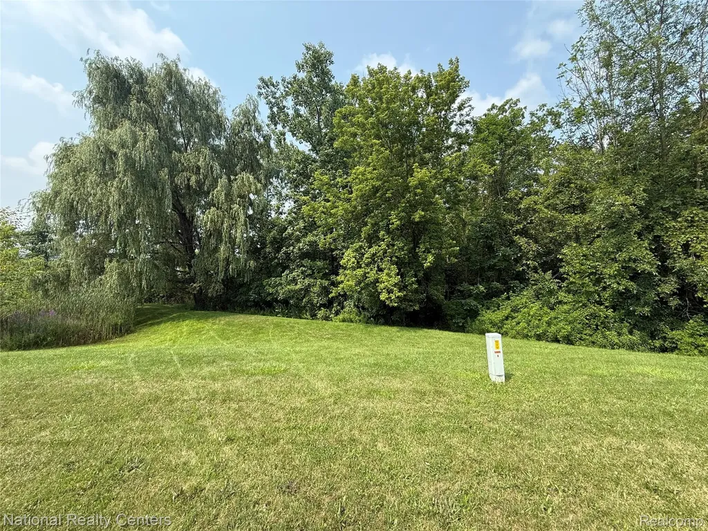 10422 Valley Creek Drive Goodrich Village MI 48438