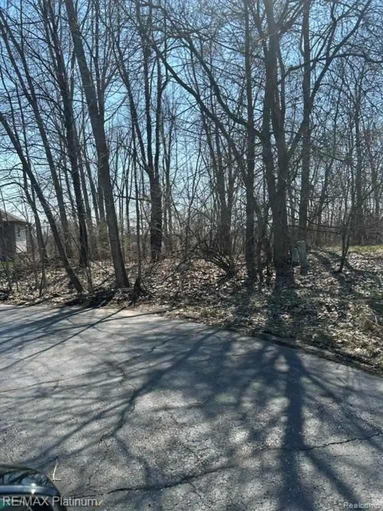 13480 Bryson Court Fenton City MI 48430