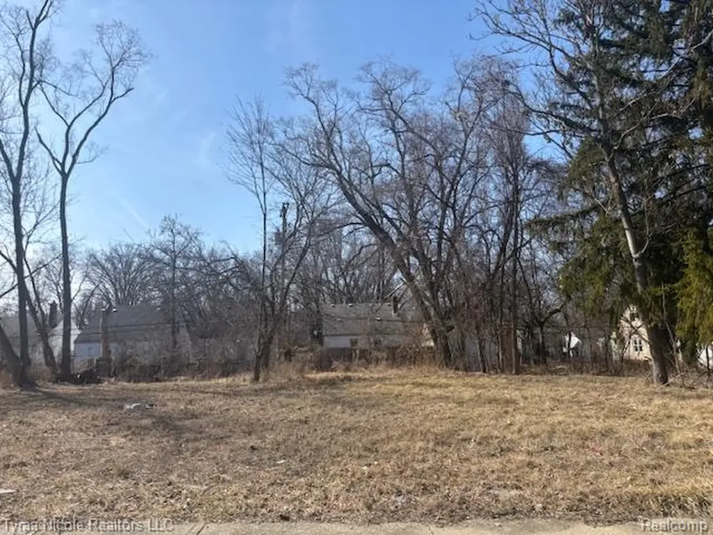 18149 Vaughan Street Detroit City MI 48219