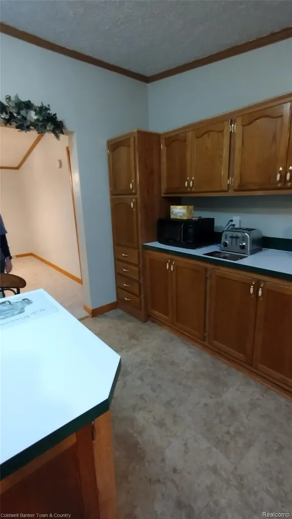 9740 Russell Street Salem Township MI 48167