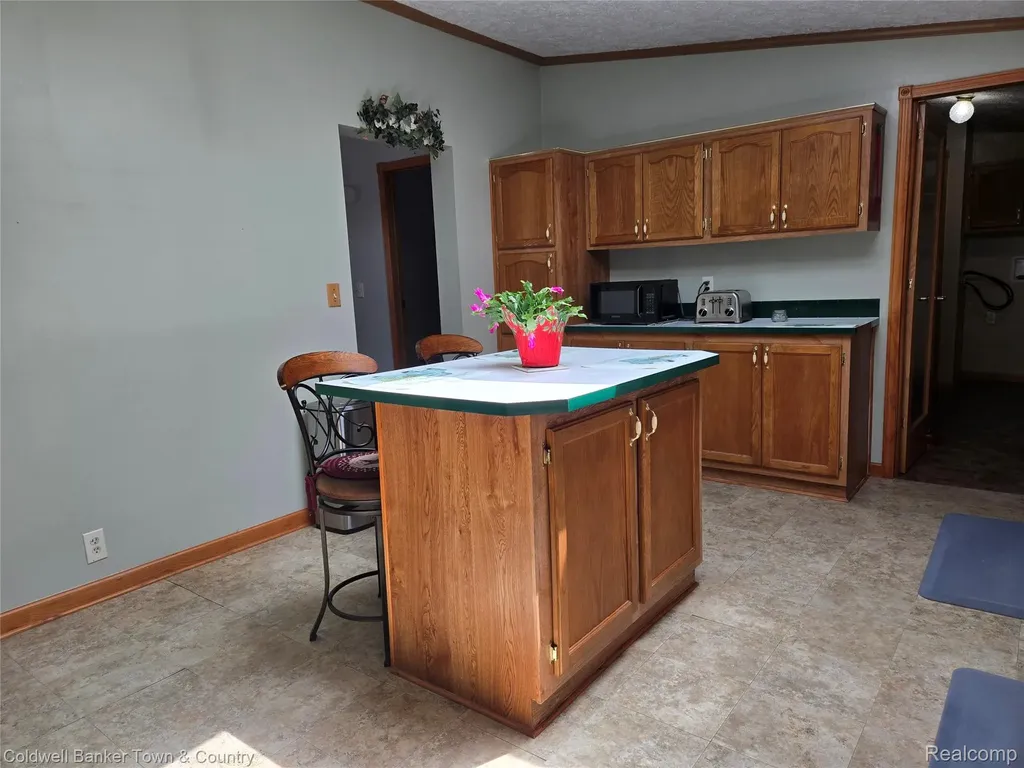 9740 Russell Street Salem Township MI 48167