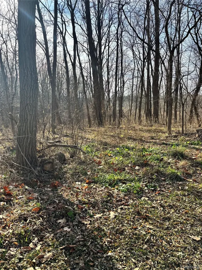 00 Faussett Road Tyrone Township MI 48430