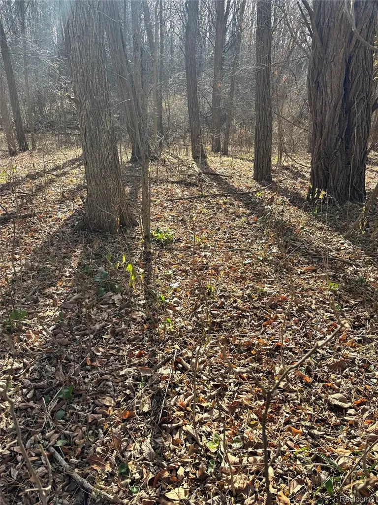 00 Faussett Road Tyrone Township MI 48430