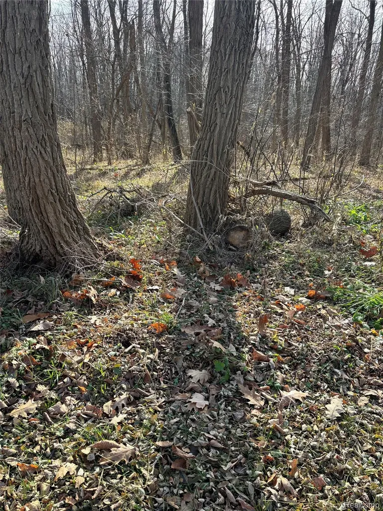 00 Faussett Road Tyrone Township MI 48430