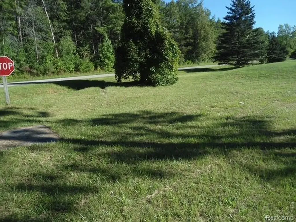 6449 Seminole Street Oscoda Charter Township MI 48750