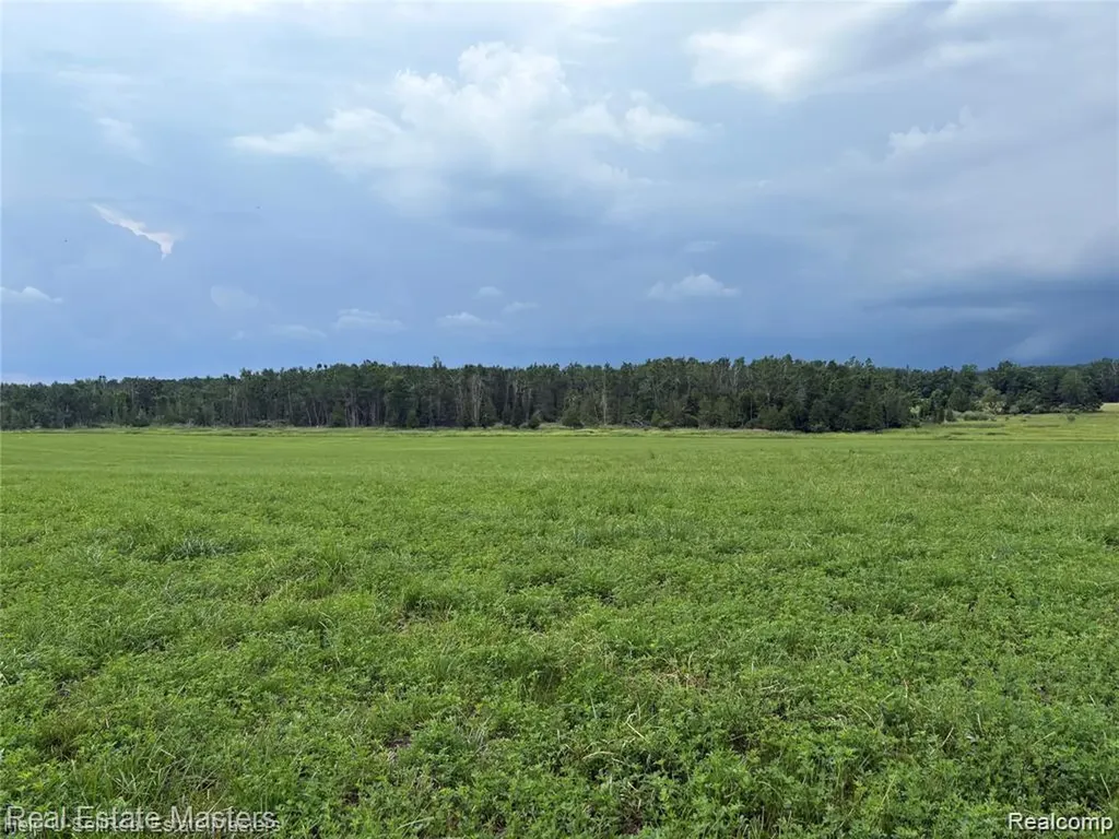 300 W Hubert Road Caledonia Township MI 48762