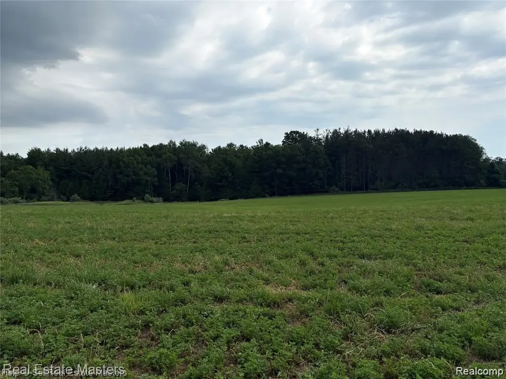300 W Hubert Road Caledonia Township MI 48762