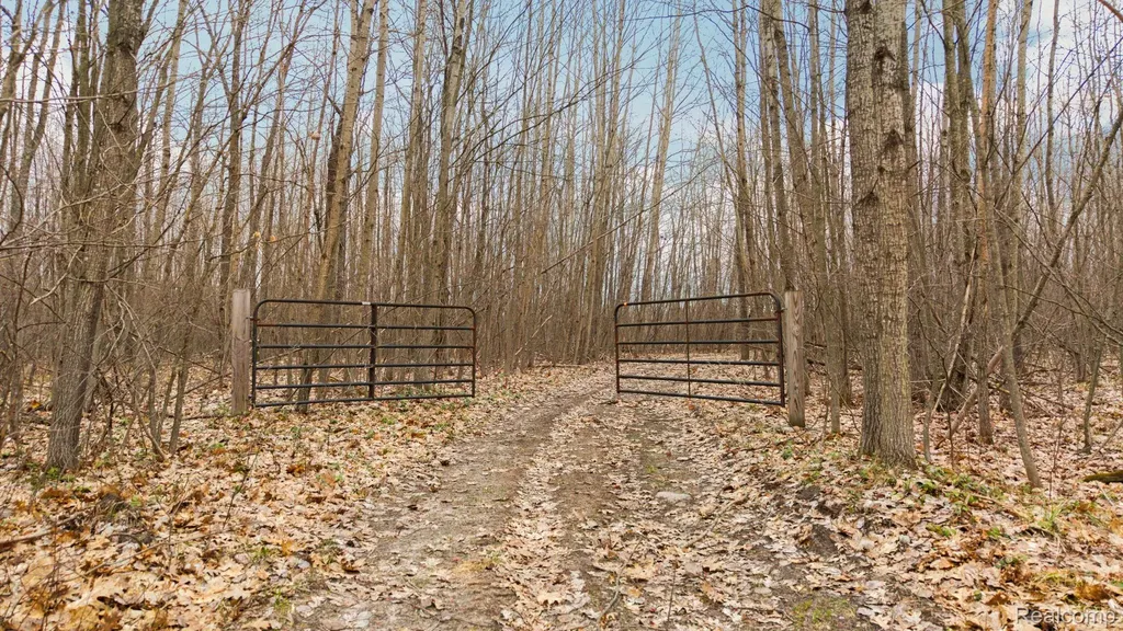 00 N Fairview Road Klacking Township MI 48661