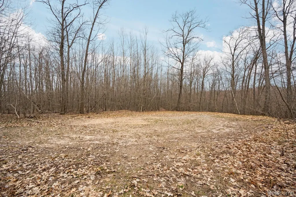 00 N Fairview Road Klacking Township MI 48661