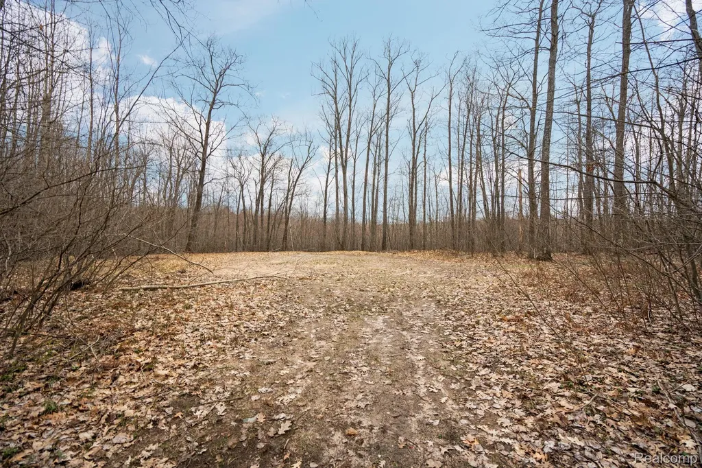 00 N Fairview Road Klacking Township MI 48661