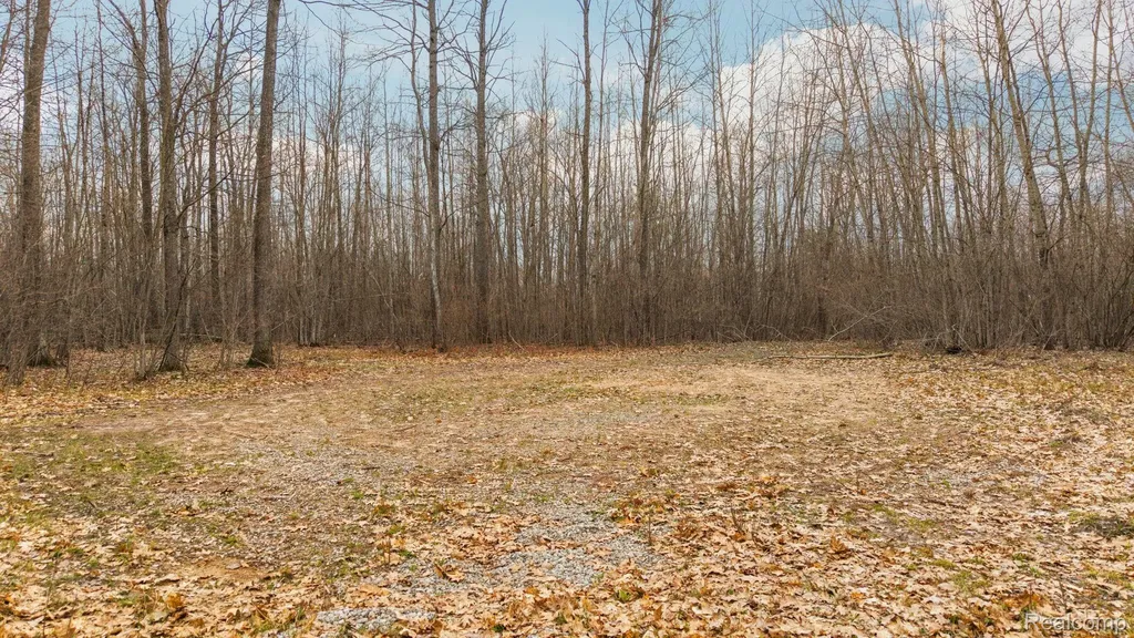 00 N Fairview Road Klacking Township MI 48661