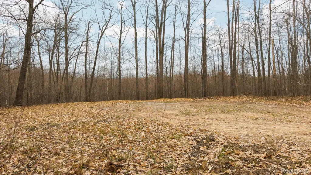 00 N Fairview Road Klacking Township MI 48661
