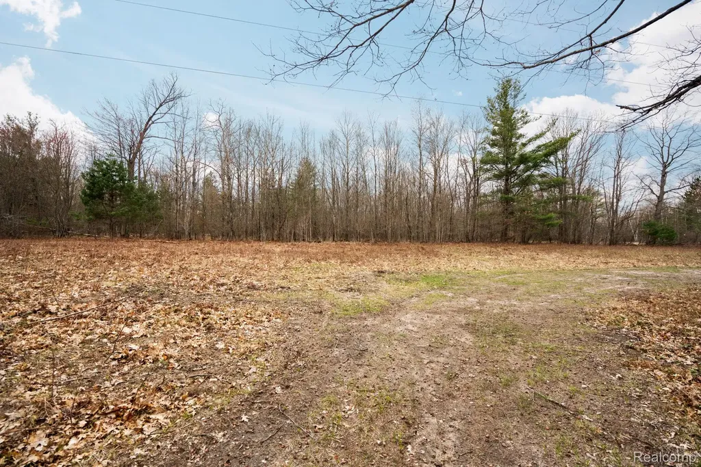 00 N Fairview Road Klacking Township MI 48661
