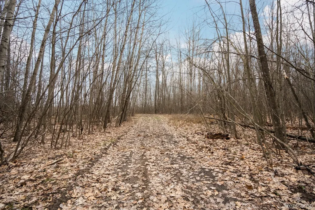 00 N Fairview Road Klacking Township MI 48661