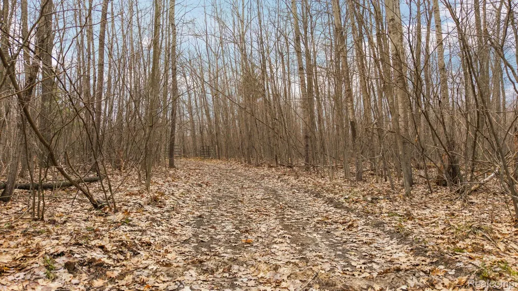 00 N Fairview Road Klacking Township MI 48661