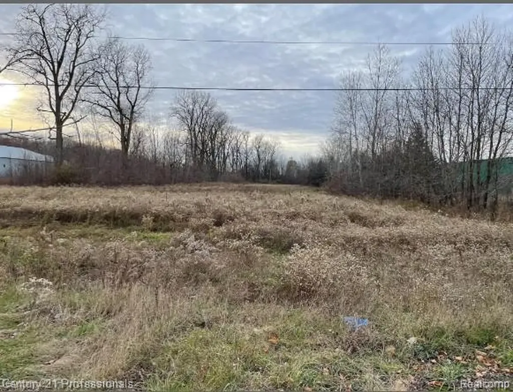 0 Van Dyke Road Almont Township MI 48003