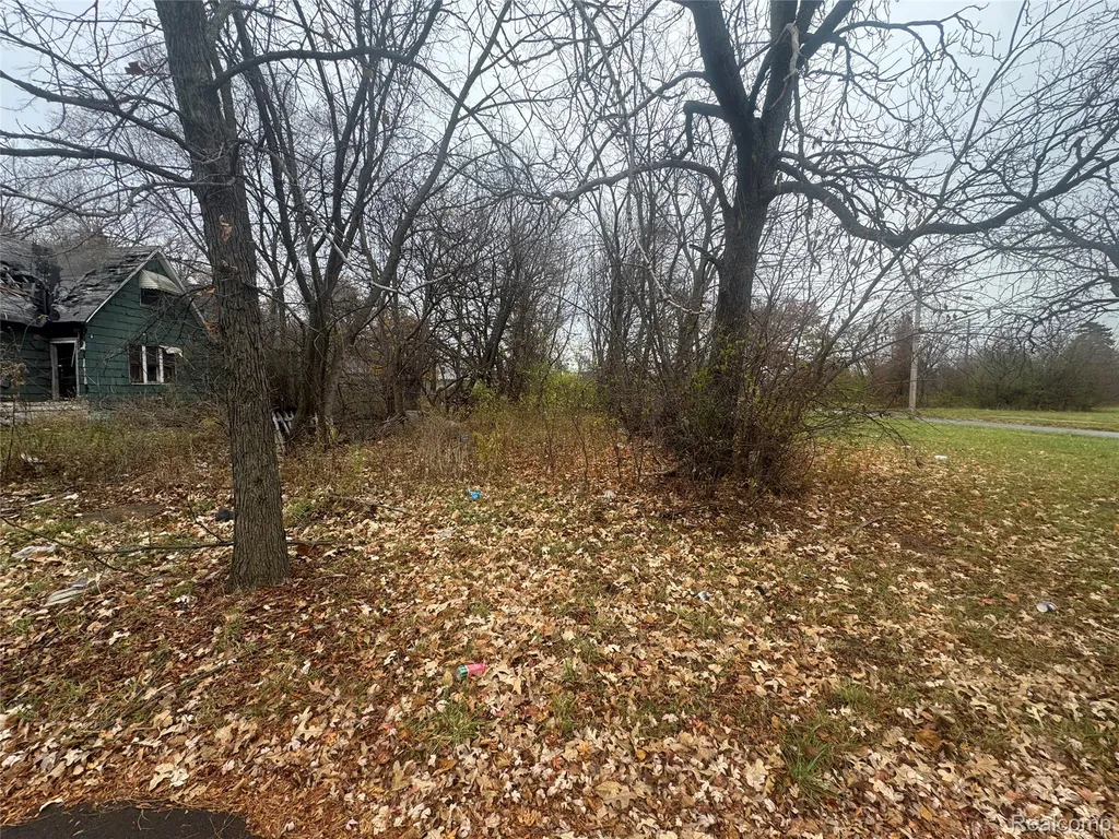 4226 18th Street Detroit City MI 48208