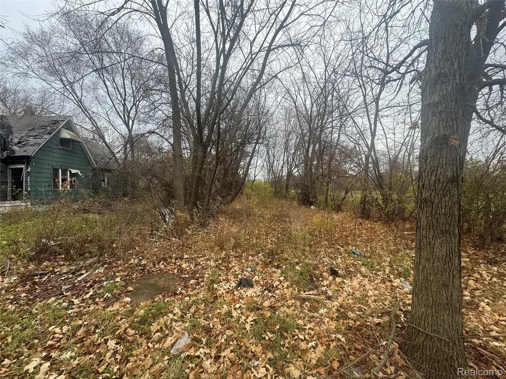 4226 18th Street Detroit City MI 48208